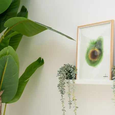 Maison Zanardelli 41 Bari